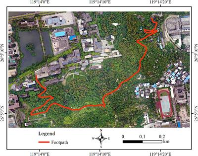 Explore the effects of forest travel activities on university students’ stress affection